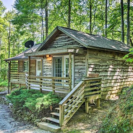 Cozy The Woodshop Cabin With Deck And Forest Views! Роббінсвіль Екстер'єр фото