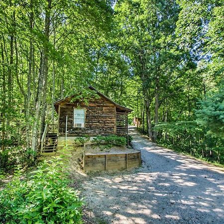 Cozy The Woodshop Cabin With Deck And Forest Views! Роббінсвіль Екстер'єр фото