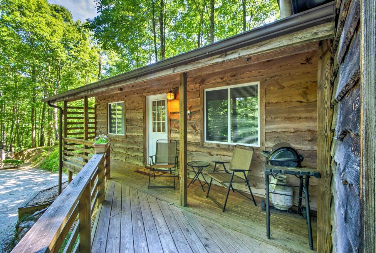 Cozy The Woodshop Cabin With Deck And Forest Views! Роббінсвіль Екстер'єр фото
