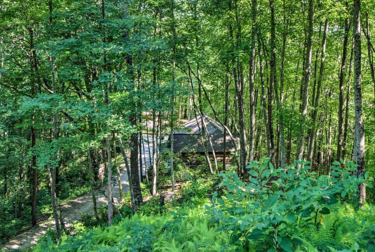 Cozy The Woodshop Cabin With Deck And Forest Views! Роббінсвіль Екстер'єр фото