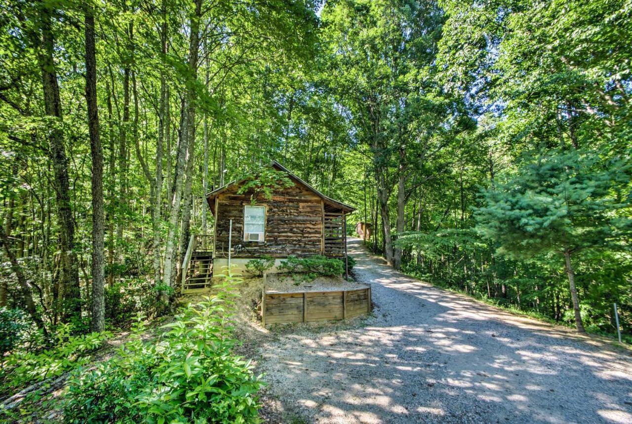 Cozy The Woodshop Cabin With Deck And Forest Views! Роббінсвіль Екстер'єр фото