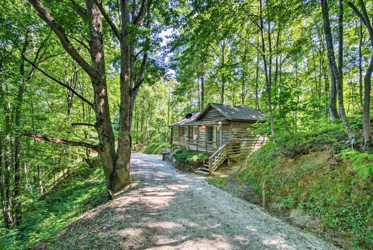 Cozy The Woodshop Cabin With Deck And Forest Views! Роббінсвіль Екстер'єр фото